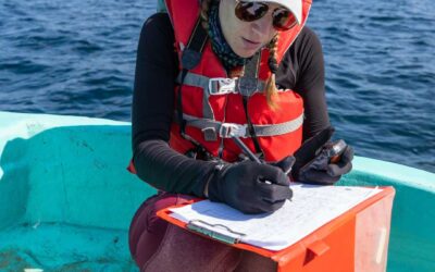 Career Profile: Marine Biology